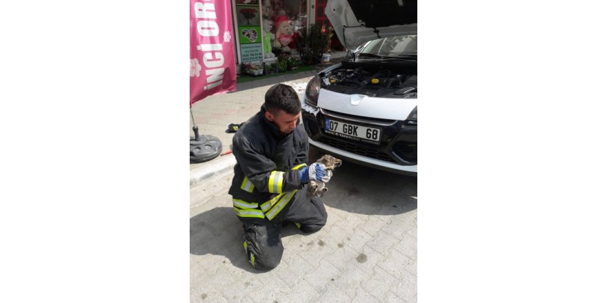 İtfaiye’den kedi kurtarma operasyonu