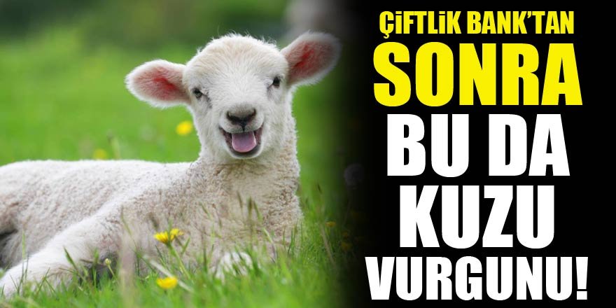 Bu da kuzu vurgunu!