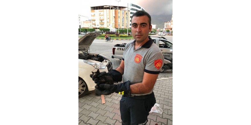 Aracın motor bölümünde sıkışan kediyi itfaiye kurtardı