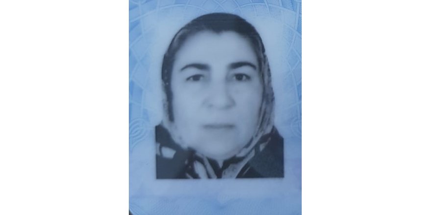 Bursa’da keçi otlatırken yıldırım çarpan kadın hayatını kaybetti