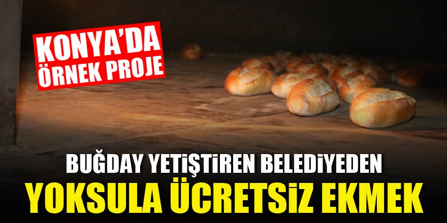 Buğday yetiştiren belediyeden yoksula ücretsiz ekmek