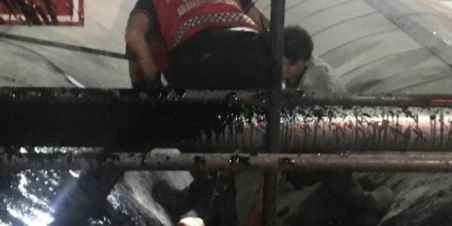 Asfalt kazanlarının arasına sıkışıp öldü