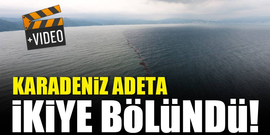 Karadeniz adeta ikiye bölündü