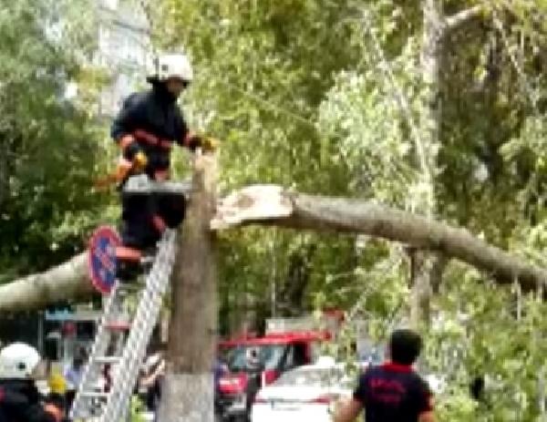 Cuma namazında cemaatin üzerine ağaç devrildi