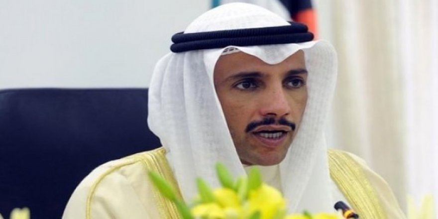 El-Ğanim: 'Türkiye muz cumhuriyeti değildir'