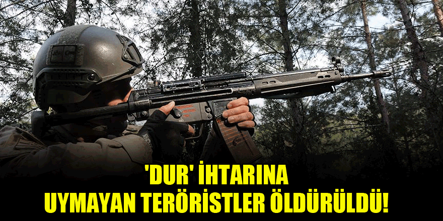 Muş'ta 5 PKK'lı terörist etkisiz hale getirildi