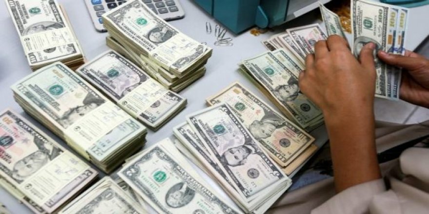 Döviz kredilerine 'Merkez Bankası' ayarı