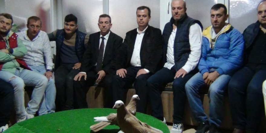 Güvercinsevenler lokali