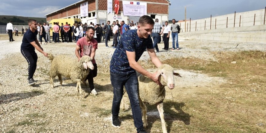 TİKA’dan Kosovalı çiftçilere destek