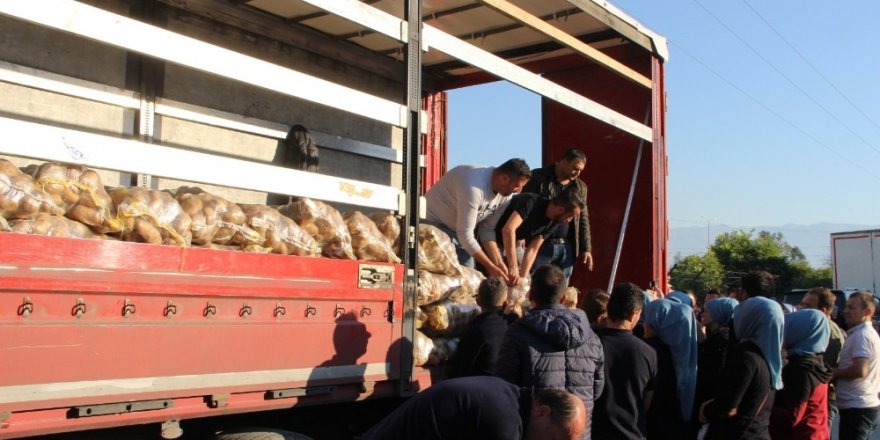 50 kuruşa satılan 120 ton patates dakikalar içinde tükendi