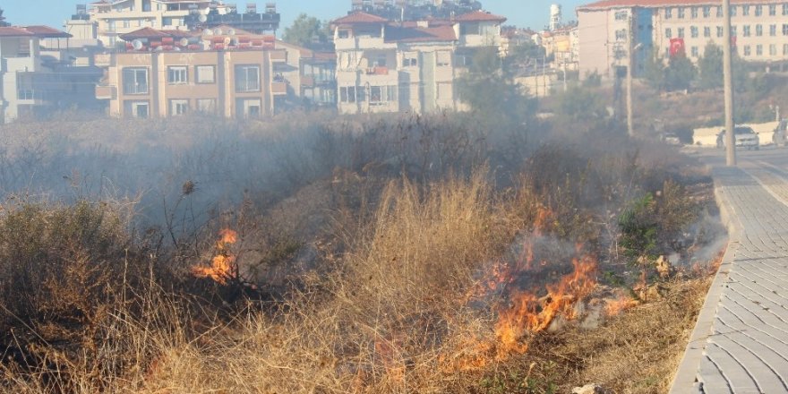 Antalya’da 2 noktada orman yangını