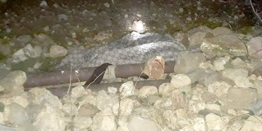 Otomobil karşıdan karşıya geçen yayalara çarptı: 2 ölü, 1 yaralı