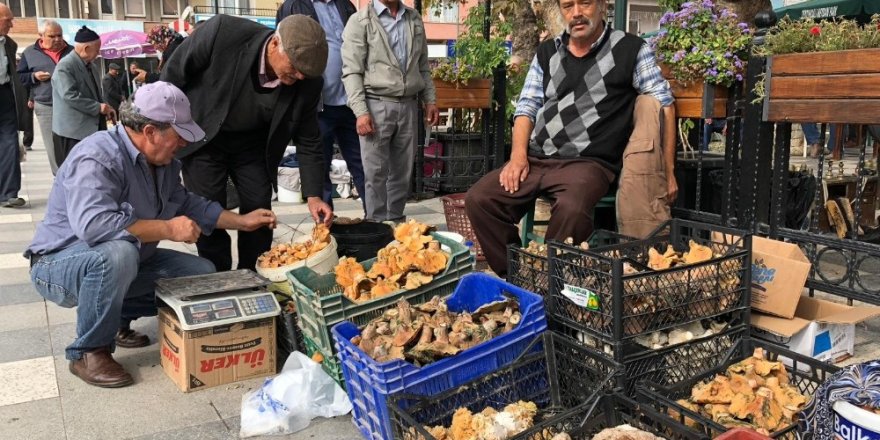 Melki Sındırgılıların geçim kaynağı oldu