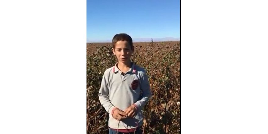 29 Ekim şiirini pamuk tarlasında okudu