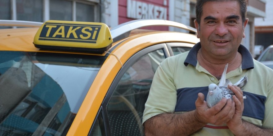 Taksi durağında güvercin besliyor