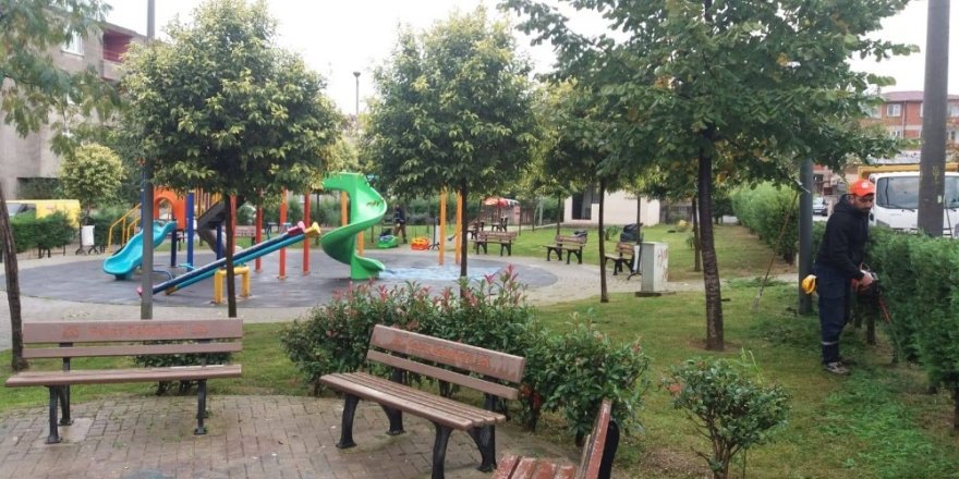Gebze Belediyesi parkları temizliyor