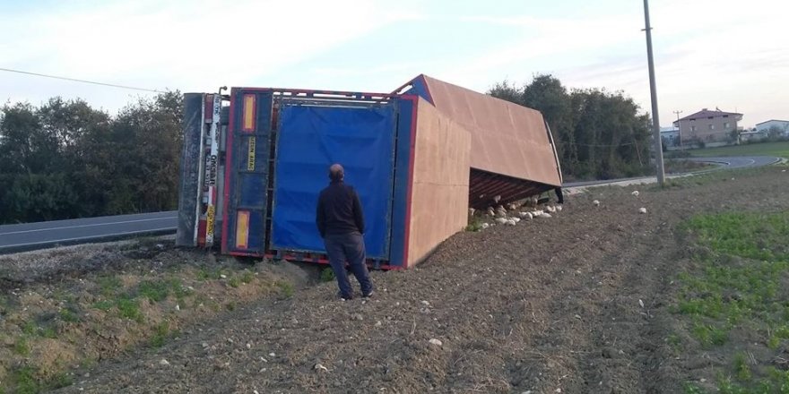 Sakarya’da canlı tavuk yüklü kamyon devrildi