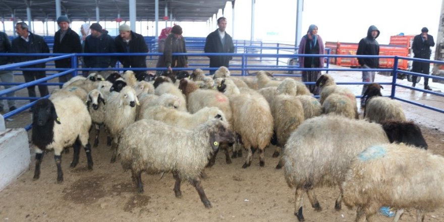 Çiftçilere 16 milyon TL’lik destekleme yapıldı