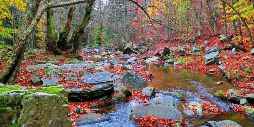 Kazdağları’nın sonbahar renkleri büyülüyor