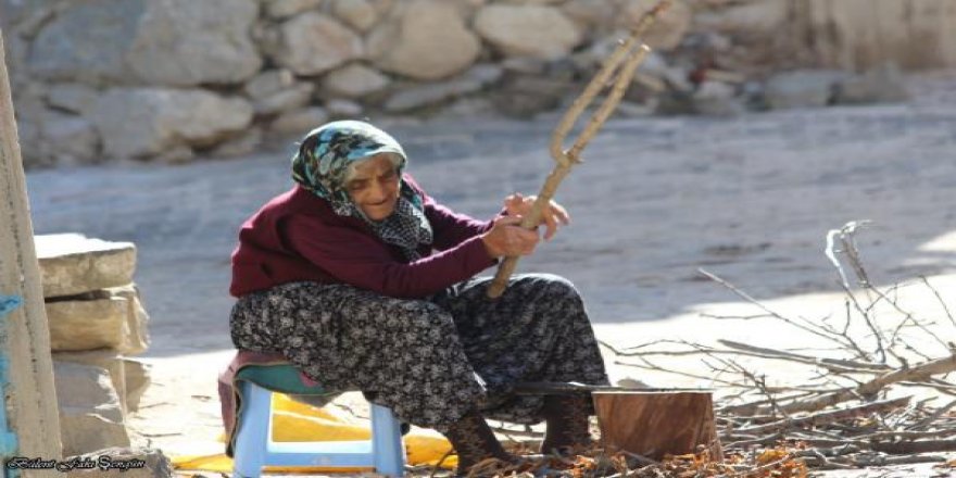 Toros Dağları eteğindeki Kiraz ninenin yaşam mücadelesi