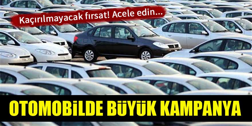 Fairy Clarke: tohum yetiştiriyor 24
