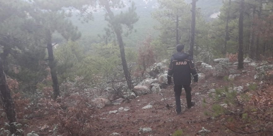 Avlanmak için evinden çıkan avcı ormanlık alanda ölü bulundu