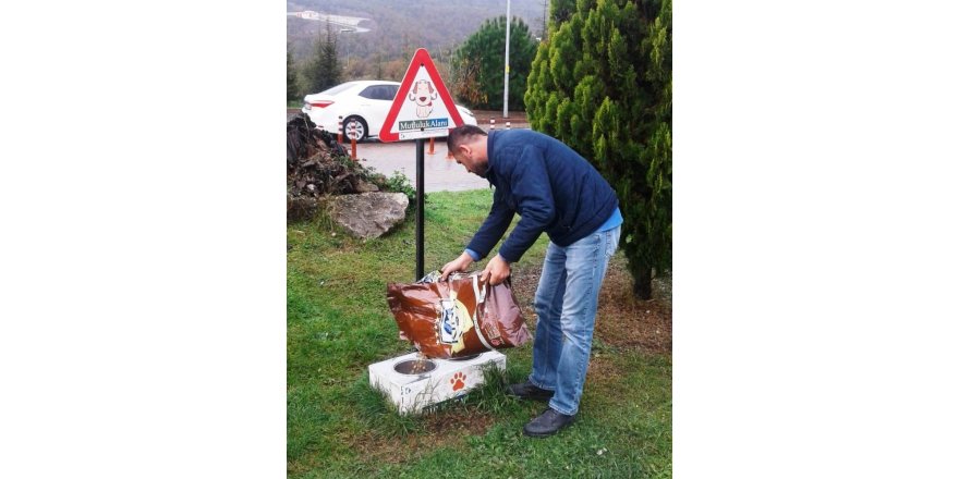 Zabıta sokak hayvanlarını unutmuyor