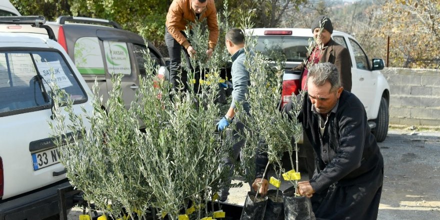 Mersin’de tarıma belediye desteği