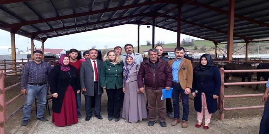 Genç çiftçilere 100 baş manda teslim edildi