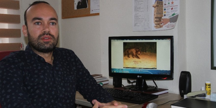 MSKÜ Öğretim Görevlisi İlemin’den "İnsan yiyen ayı" haberlerine tepki