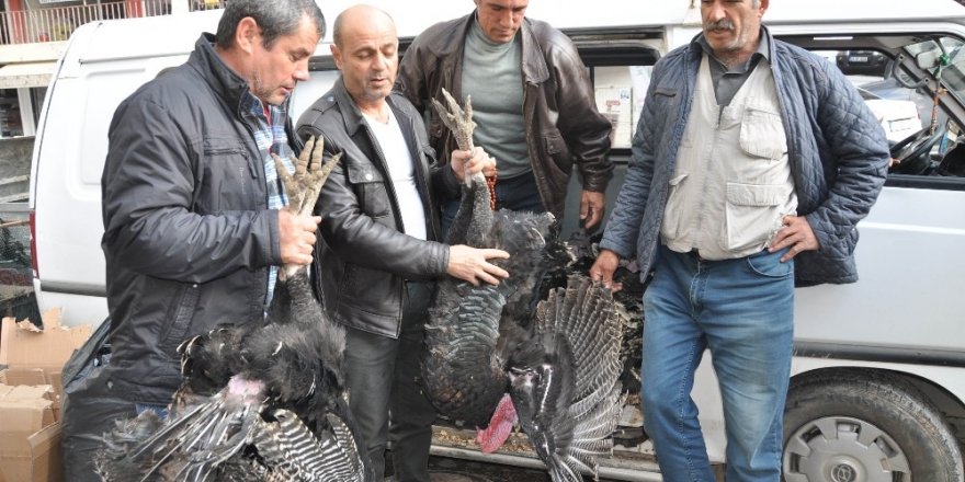 Hindi satışları artmaya başladı