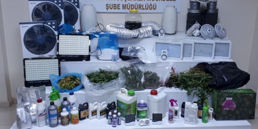 Odada uyuşturucu yetiştirenlere polis darbesi