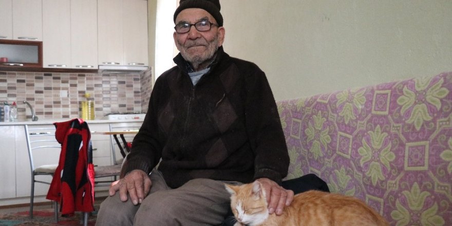 Ali dede yeni evinde kedileriye birlikte yaşıyor