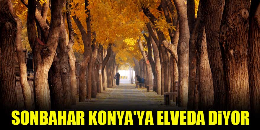 Sonbahar Konya'ya elveda diyor