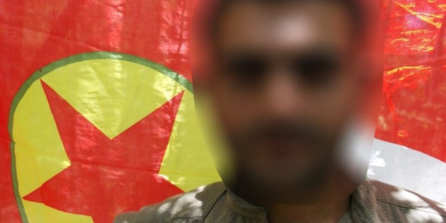 Diyarbakır’da bir terörist sağ ele geçirildi