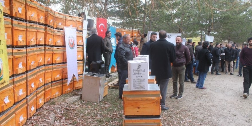 Bayburtlu arıcıya dev kovan desteği