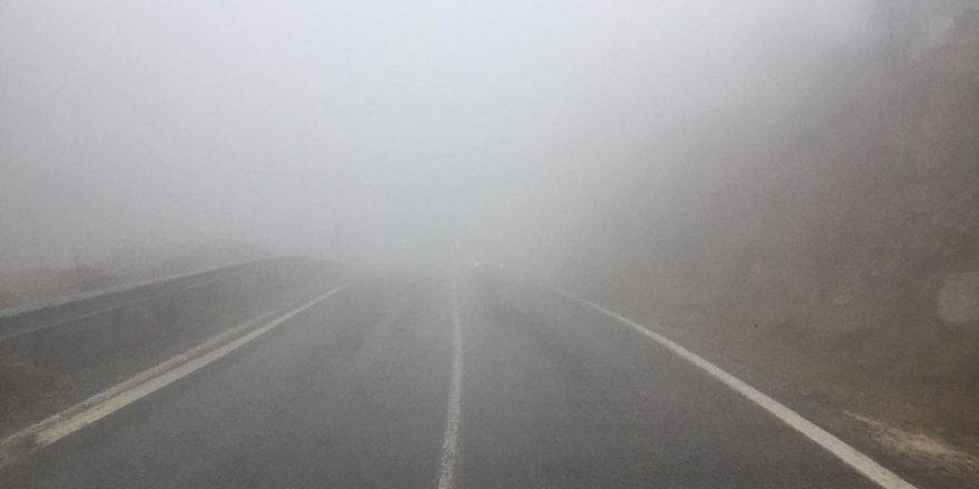 Sincik ilçesinde sis etkili oldu