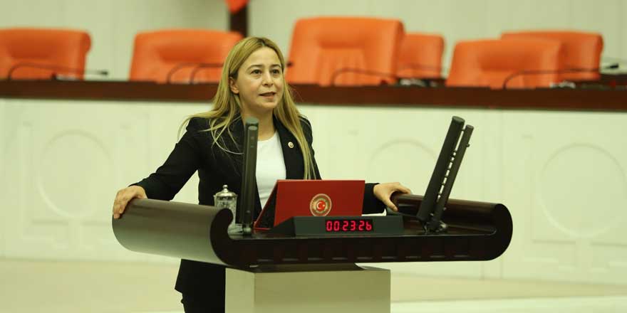 Milletvekili Esin Kara: “Konya havzası çölleşiyor”