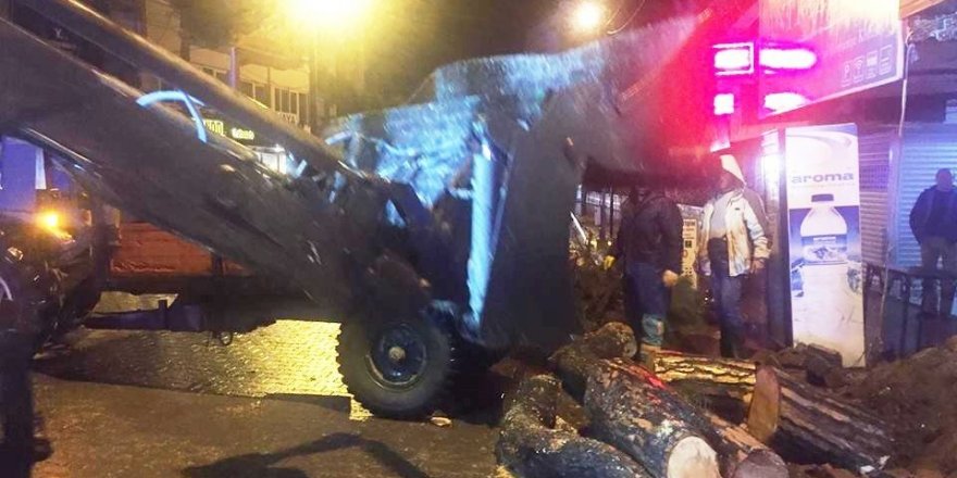 Burhaniye’de lodosa dayanamayan çam ağacı yola devrildi