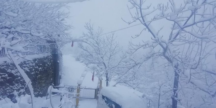 Fatsa’da kar kalınlığı 50 santime ulaştı