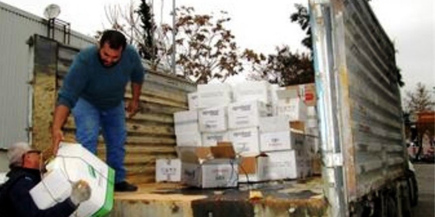 Aydın’da 10 ton bitki koruma ürünü imha edildi