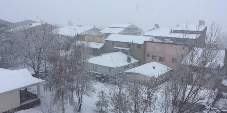 Bingöl’de kar 58 köy yolunu ulaşıma kapattı