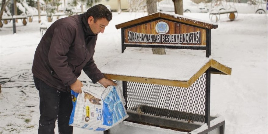 Nevşehir Belediyesi hayvanları unutmadı