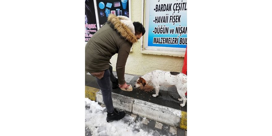 Sokak hayvanlarını unutmadılar
