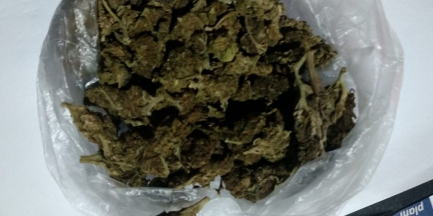 Kuşadası’nda 50 gram hint keneviri ele geçirildi