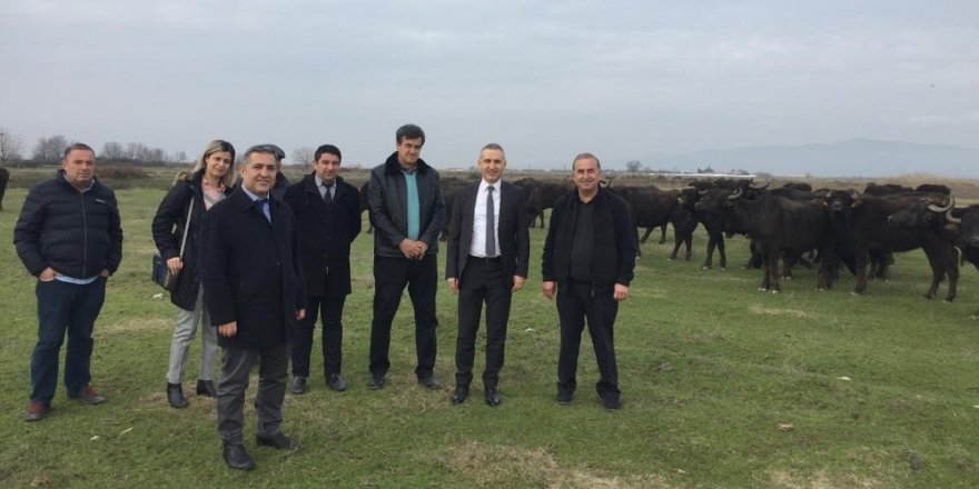 Öztürk’ten Salihli’de manda çiftliğine ziyaret