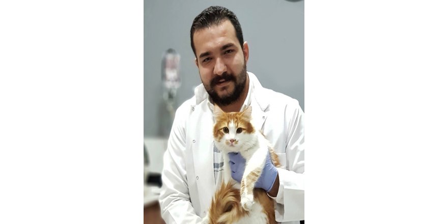 Veteriner Hekimler Odası Başkanı Şahin, “Toxoplasma dünün bugünün hastalığı değildir”