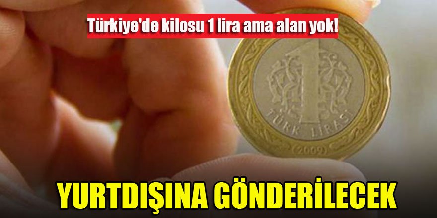 Türkiye'de kilosu 1 lira ama alan yok! Yurtdışına gönderilecek