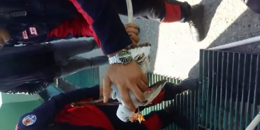 Baraj kapaklarına takılan martı itfaiye ekiplerince kurtarıldı