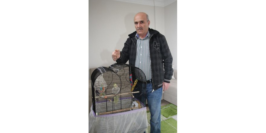 Ağaçta mahsur kalan papağan ekipleri seferber etti